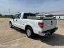 2014 White /Gray Ford F-150 XL SuperCab 6.5-ft. Bed 2WD (1FTEX1CM2EK) with an 3.7L V6 DOHC 24V engine, 6-Speed Automatic transmission, located at 17760 Hwy 62, Morris, OK, 74445, (918) 733-4887, 35.609104, -95.877060 - 2014 FORD F-150 XL SUPERCAB 6.5-ft. BED 2WD 3.7L V6 BI-FUEL SYSTEM RUNS ON CNG OR GASOLINE. FEATURES KEYLESS REMOTE ENTRY, POWER LOCKS, POWER WINDOWS, AM/FM STEREO, SIRIUS XM STEREO, CD PLAYER, AUXILLARY PORT, CRUISE CONTROL, TRACTION CONTROL, MULTI-FUNCTIONING STEERING WHEEL CONTROLS, TRAILER HITCH - Photo#6